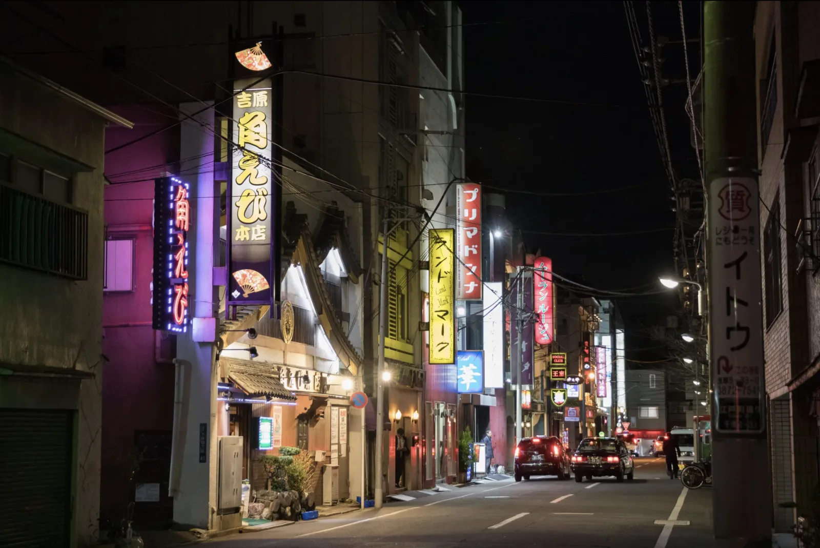 Neon-lit night street in Tokyo's old pleasure quarter
